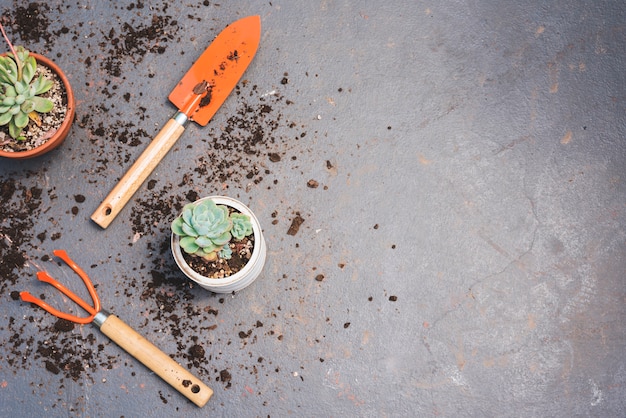 Jak wybrać idealne narzędzia ogrodnicze do pielęgnacji swojego ogrodu?